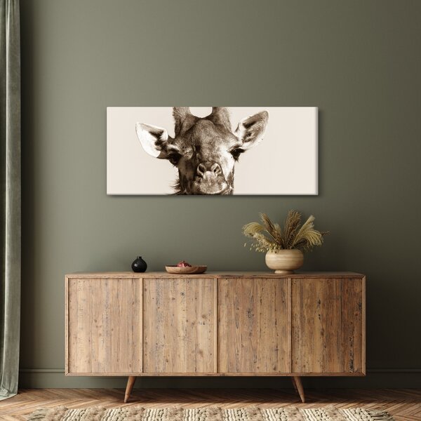 Kép - Zsiráf portré, vintage (120x50 cm)