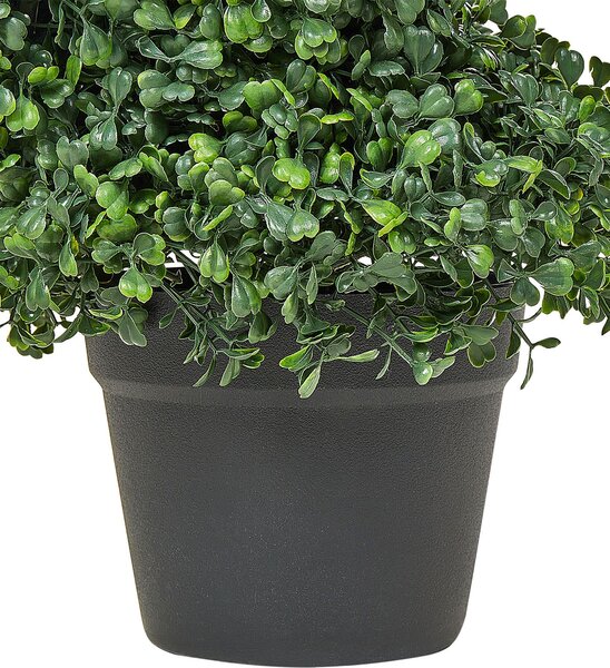 Műnövény BOXWOOD SPIRAL TREE 120 cm Zöld