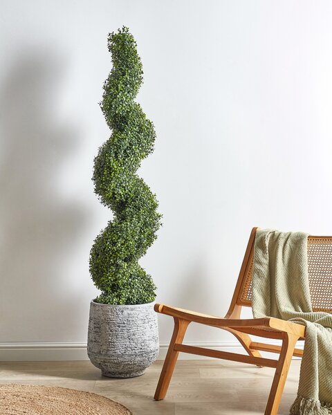 Műnövény BUXUS SPIRAL TREE 158 cm Zöld