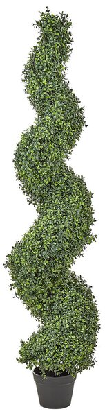 Műnövény BUXUS SPIRAL TREE 158 cm Zöld