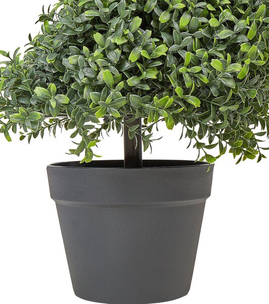 Műnövény BUXUS SPIRAL TREE 158 cm Zöld