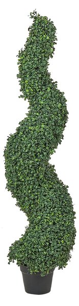 Műnövény BOXWOOD SPIRAL TREE 120 cm Zöld