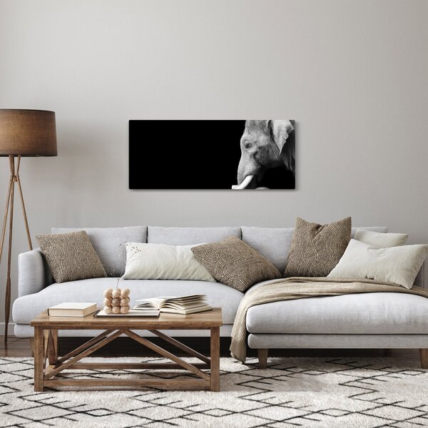 Kép - Elefánt (120x50 cm)