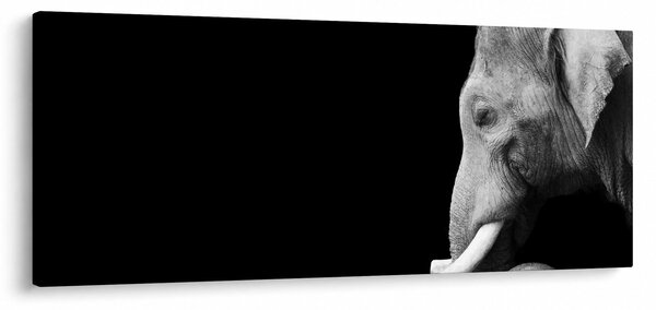 Kép - Elefánt (120x50 cm)