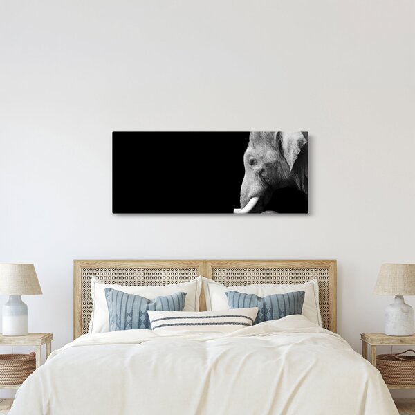 Kép - Elefánt (120x50 cm)
