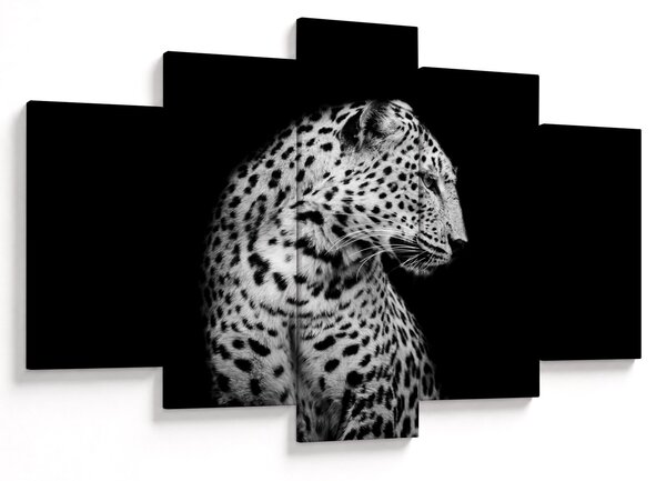 Kép - Leopárd (150x105 cm)
