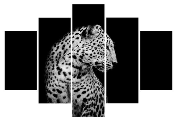Kép - Leopárd (150x105 cm)