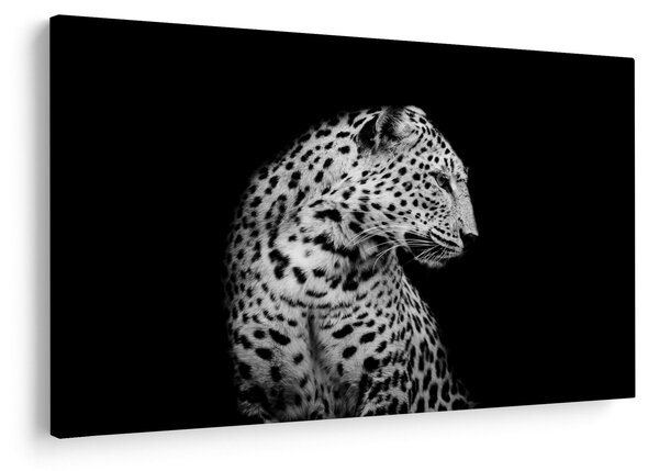 Kép - Leopárd (90x60 cm)