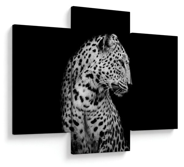 Kép - Leopárd (90x60 cm)
