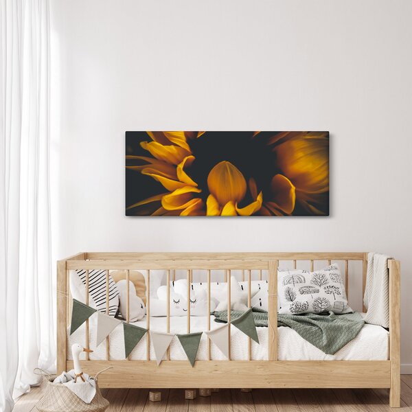 Kép - Napraforgó fekete háttérben (120x50 cm)