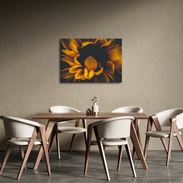 Kép - Napraforgó fekete háttérben (70x50 cm)