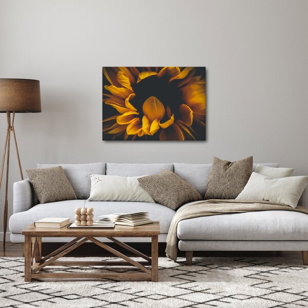 Kép - Napraforgó fekete háttérben (70x50 cm)