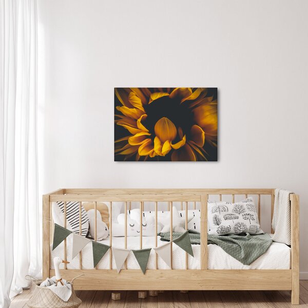 Kép - Napraforgó fekete háttérben (70x50 cm)