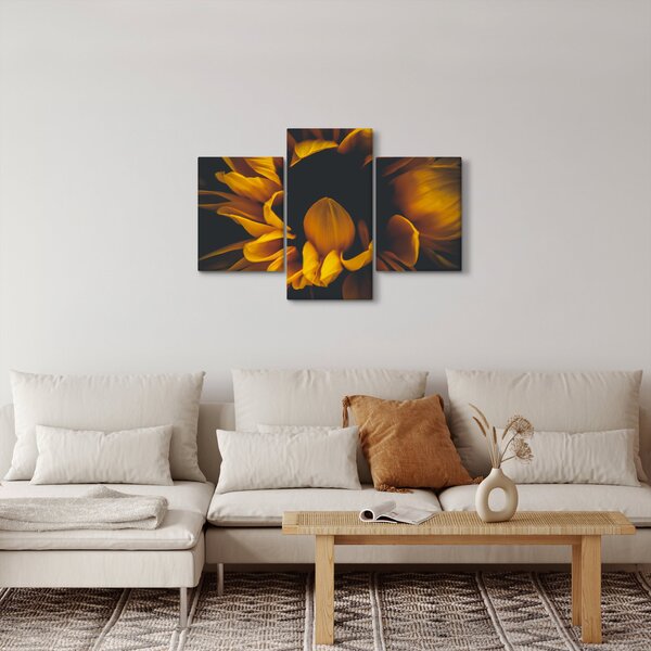 Kép - Napraforgó fekete háttérben (90x60 cm)
