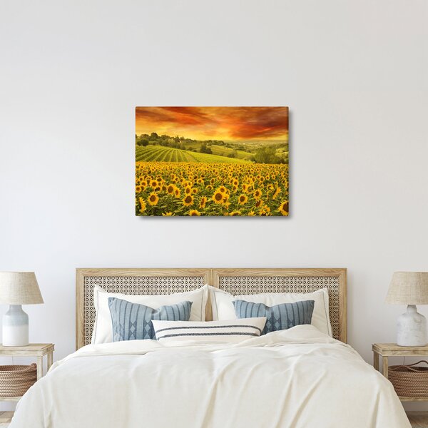 Kép - Napraforgó mező (70x50 cm)