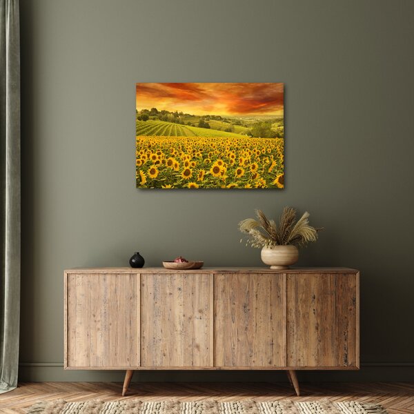 Kép - Napraforgó mező (70x50 cm)