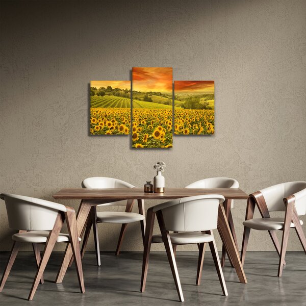 Kép - Napraforgó mező (90x60 cm)