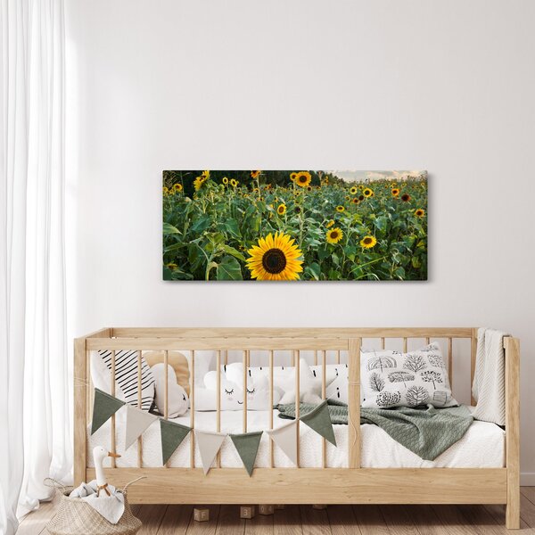 Kép - Napraforgómező II. (120x50 cm)