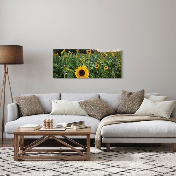 Kép - Napraforgómező II. (120x50 cm)