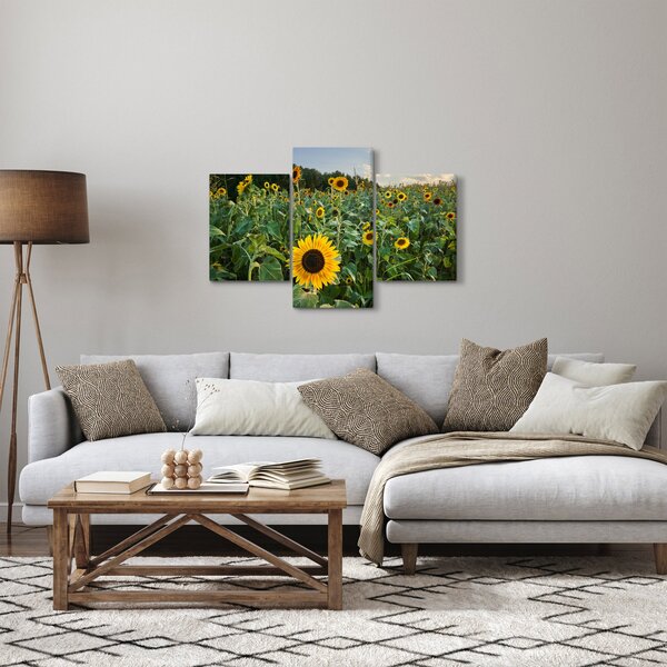Kép - Napraforgómező II. (90x60 cm)