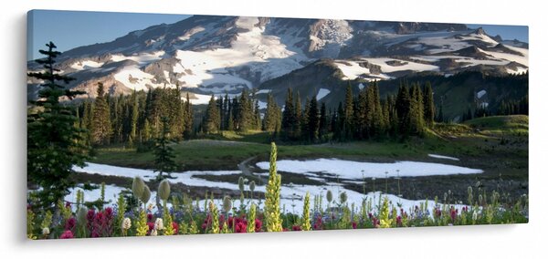 Kép - Mount Rainier (120x50 cm)