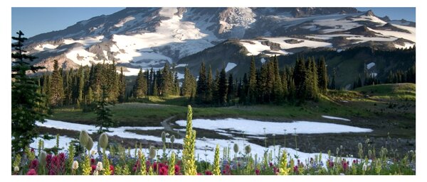 Kép - Mount Rainier (120x50 cm)