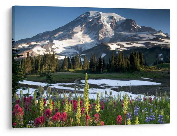 Kép - Mount Rainier (70x50 cm)