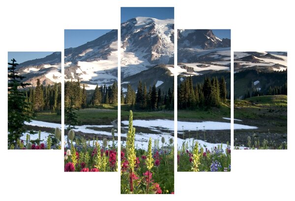 Kép - Mount Rainier (150x105 cm)