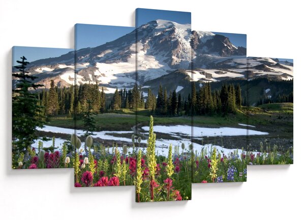 Kép - Mount Rainier (150x105 cm)