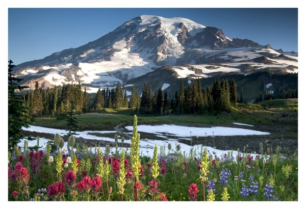 Kép - Mount Rainier (90x60 cm)