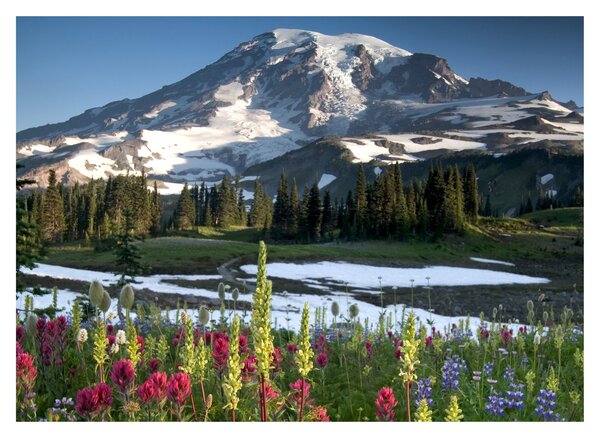 Kép - Mount Rainier (70x50 cm)