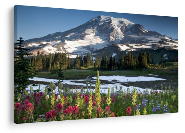 Kép - Mount Rainier (90x60 cm)