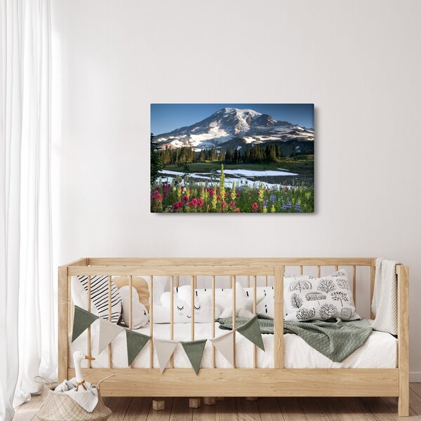 Kép - Mount Rainier (90x60 cm)