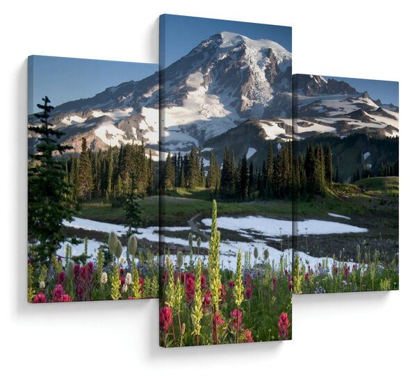 Kép - Mount Rainier (90x60 cm)