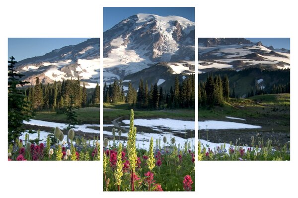 Kép - Mount Rainier (90x60 cm)