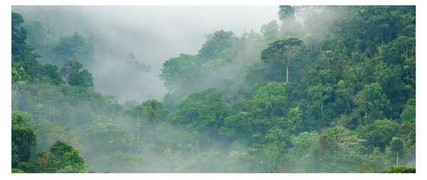 Kép - Reggeli köd (120x50 cm)