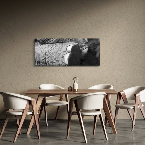 Kép - Elefánt láb (120x50 cm)