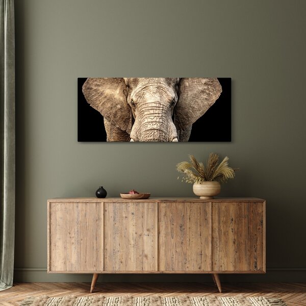 Kép - Afrikai elefánt (120x50 cm)