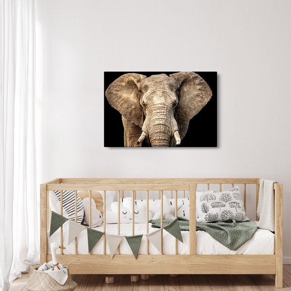 Kép - Afrikai elefánt (90x60 cm)