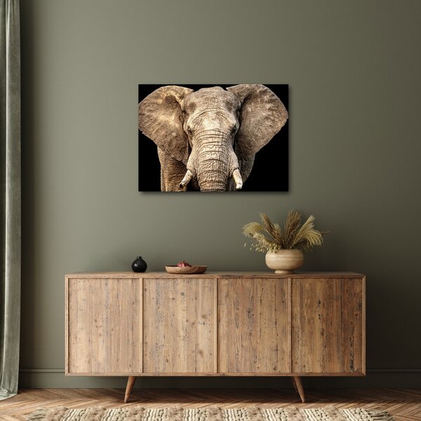 Kép - Afrikai elefánt (70x50 cm)