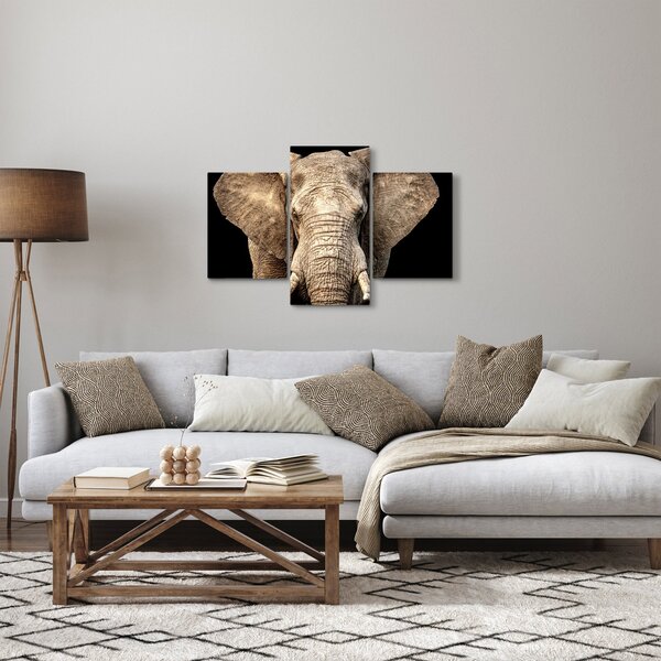 Kép - Afrikai elefánt (90x60 cm)