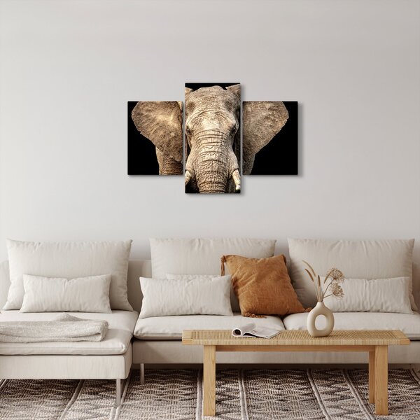 Kép - Afrikai elefánt (90x60 cm)