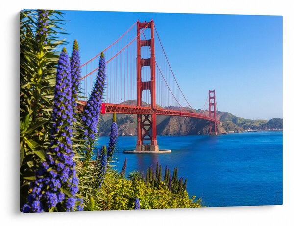 Kép - Golden Gate híd, San Francisco (70x50 cm)