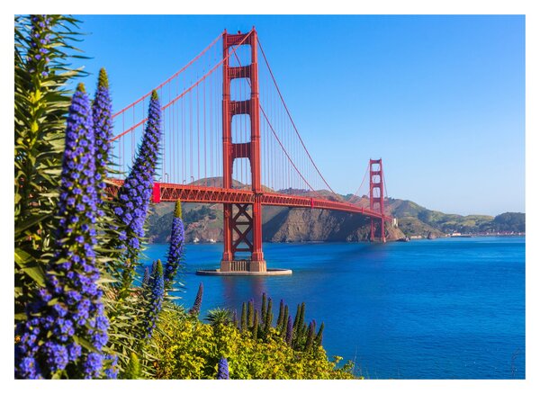 Kép - Golden Gate híd, San Francisco (70x50 cm)