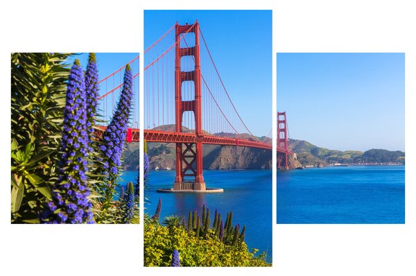 Kép - Golden Gate híd, San Francisco (90x60 cm)