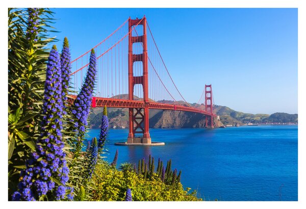 Kép - Golden Gate híd, San Francisco (90x60 cm)