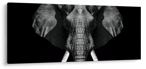 Kép - Elefánt fekete háttérrel (120x50 cm)