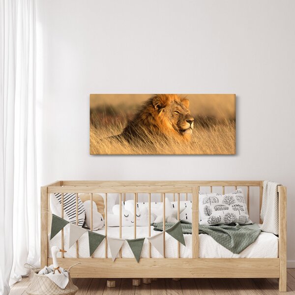 Kép - Etosha Nemzeti Park (120x50 cm)