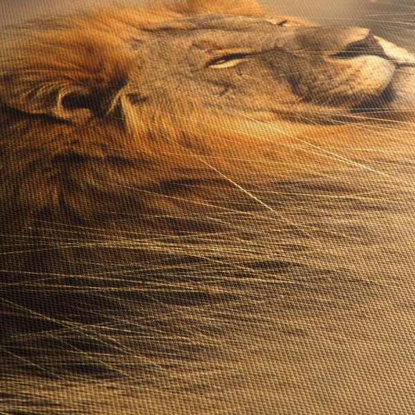 Kép - Etosha Nemzeti Park (120x50 cm)