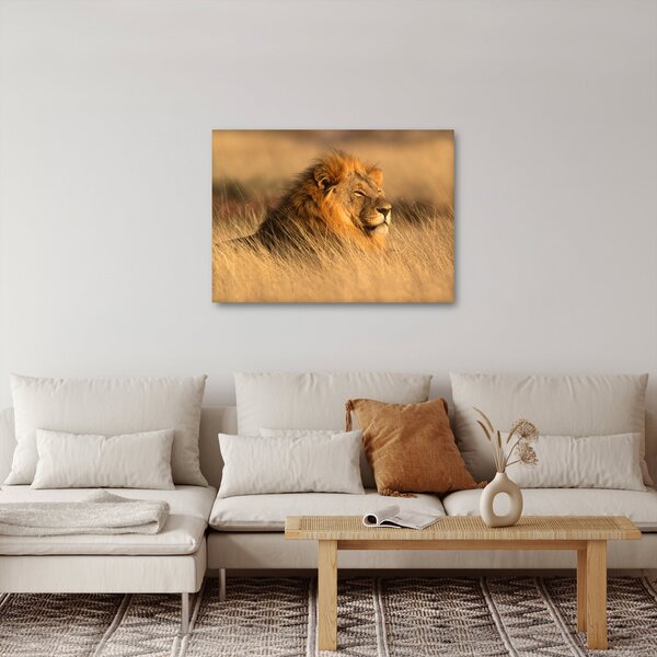 Kép - Etosha Nemzeti Park (70x50 cm)